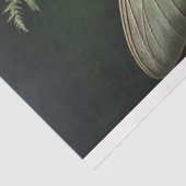Evergreen Muse Seidenpapier (Ausschnitt)