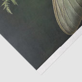 Evergreen Muse Seidenpapier (Ausschnitt)