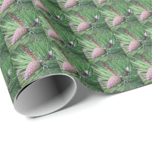 Evergreen Pine Cone Pattern Holiday Geschenkpapier (Rolleneckpunkt)