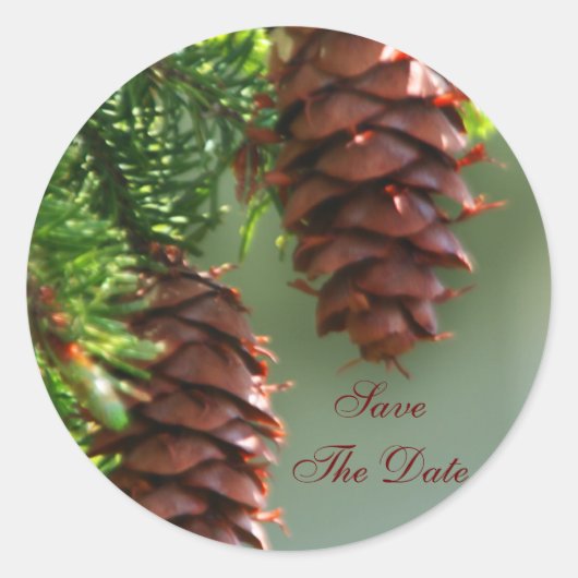 Evergreen Pinecone Save the Date Hochzeitsticker Runder Aufkleber (Vorderseite)