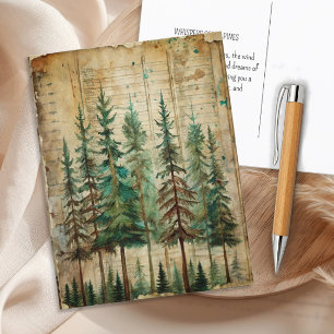 Evergreen Pines Vintage Naturwaldlandschaft Postkarte
