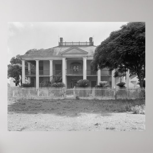Evergreen Plantation Poster (Vorne)