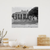 Evergreen Plantation Poster (Küche)