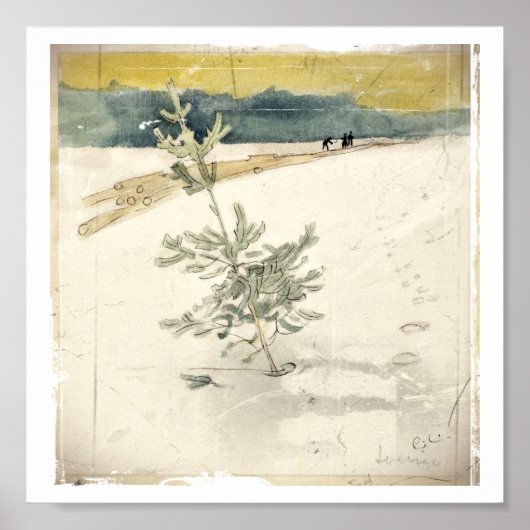 Evergreen Poster (Vorne)