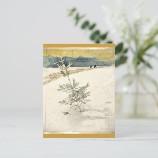 Evergreen Postkarte (Stehend Vorderseite)