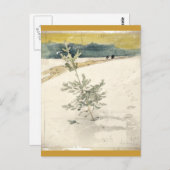 Evergreen Postkarte (Vorne/Hinten)