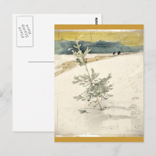 Evergreen Postkarte (Vorne/Hinten)