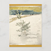 Evergreen Postkarte (Vorderseite)