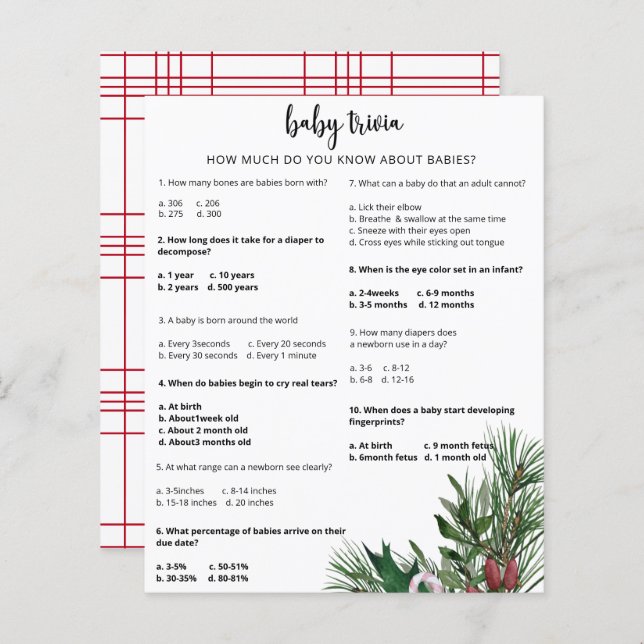 Evergreen Snow Baby Trivia | Baby Showspiel (Vorne/Hinten)