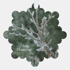 Evergreen Sparkling Frost Frost Frohe Weihnachten Ornament Karte
