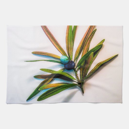 Evergreen Sprig mit Berries Küchentücher (Horizontal)