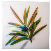 Evergreen Sprig mit Berries Tile Fliese (Vorderseite)