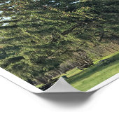 Evergreen Tree Poster (Ecke)