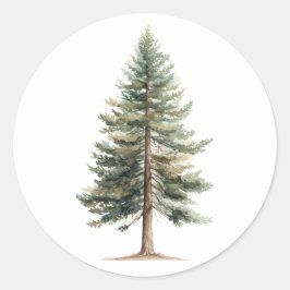 Evergreen Tree Sticker