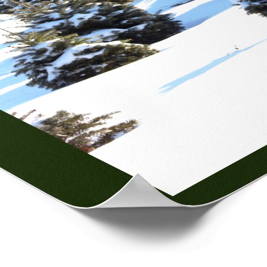 Evergreen Trees mit Snow Poster (Ecke)