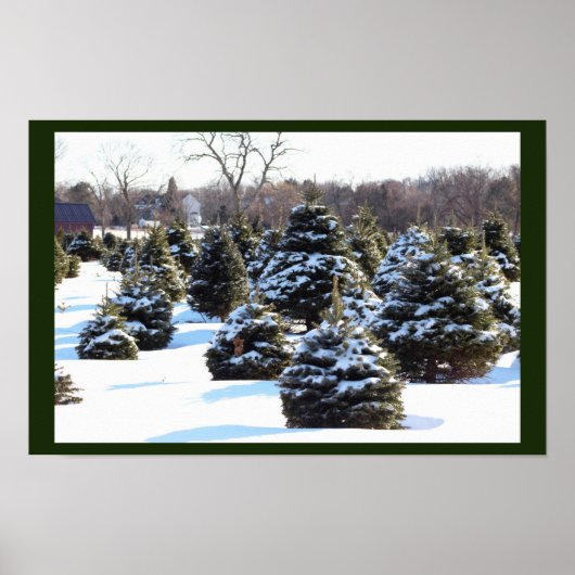 Evergreen Trees mit Snow Poster (Vorne)