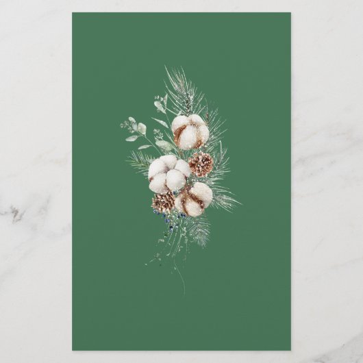 Evergreen Winter Baby Predications and Advisor Car (Rückseite)