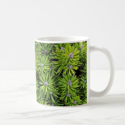 Evergreen Zweige Kaffeetasse (Rechts)