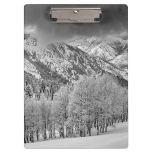 Evergreens und Aspen-Bäume in einem Schneesturm Klemmbrett