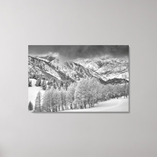 Evergreens und Aspen Bäume in einem Schneesturm Leinwanddruck