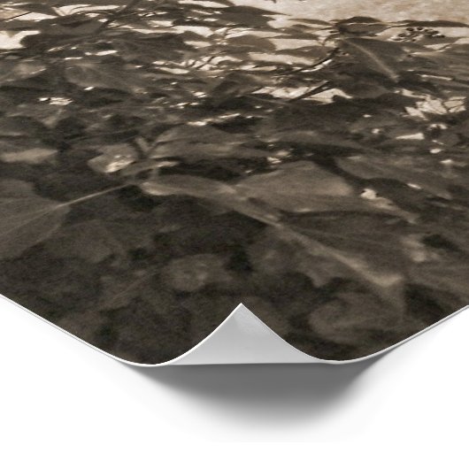 Evergreens und Gravestones Poster (Ecke)