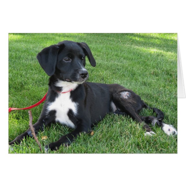 Everly! (Vorderseite (Horizontal))