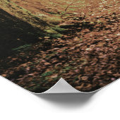 Evermore | Enchanteter Wald | Empfang Willkommen Poster (Ecke)