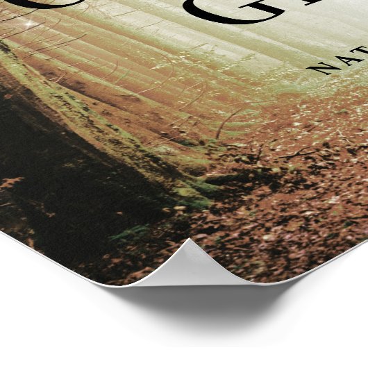 Evermore | Verzauberter Wald | Bernsteinkarten und Poster (Ecke)