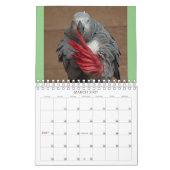 Everybirdie 2024 Calendar Kalender (Mär 2027)