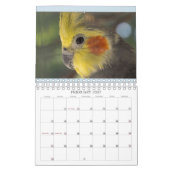 Everybirdie 2024 Calendar Kalender (Feb 2027)