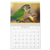 Everybirdie 2024 Calendar Kalender (Jan 2027)