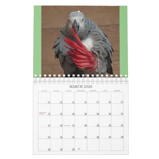 Everybirdie 2024 Calendar Kalender (Mär 2026)