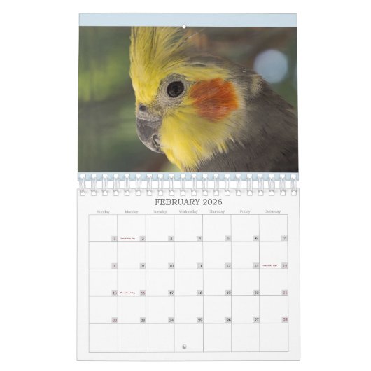 Everybirdie 2024 Calendar Kalender (Feb 2026)
