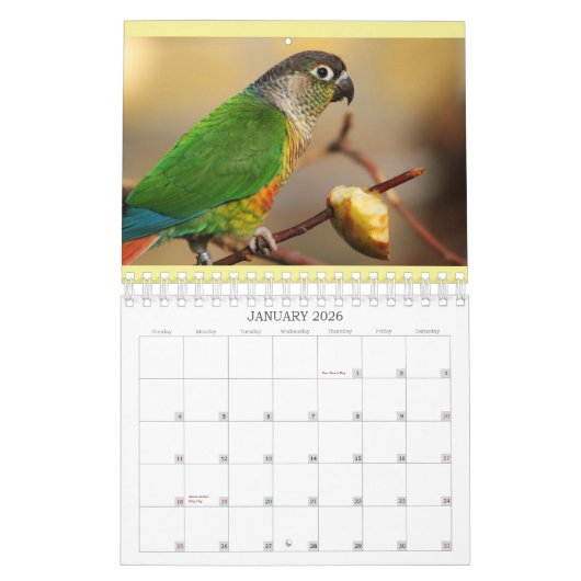 Everybirdie 2024 Calendar Kalender (Jan 2026)