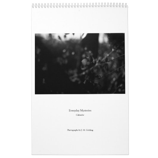 Everyday Mysterien Calendar Kalender (Titelbild)