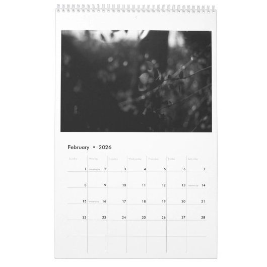 Everyday Mysterien Calendar Kalender (Feb 2026)