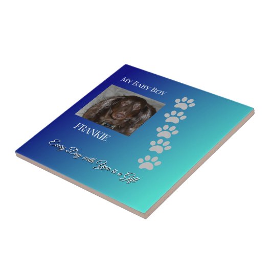 Everyday Pawprints Tribute Fliese (Seite)