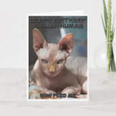 Evil cat Birthday card Karte (Vorderseite)