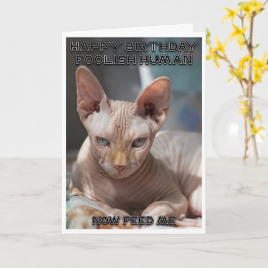 Evil cat Birthday card Karte (Gelbe Blume)