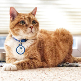 Evil Eye Moon Pet Tag Haustiermarke