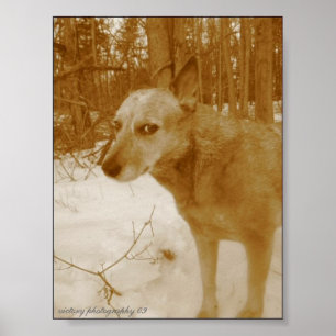 Evil Eye Print Poster