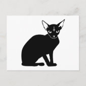 Evil Kitty Postkarte (Vorderseite)