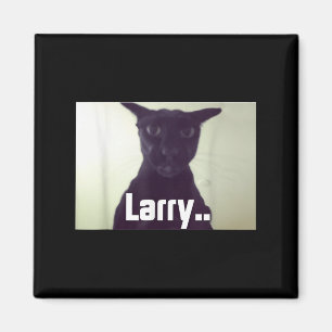 Evil Larry Meme Larry Cat Meme Verfluchte Memes Br Magnet