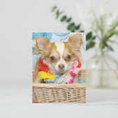 Evil - Long Hair Chihuahua -5 Postkarte (Stehend Vorderseite)