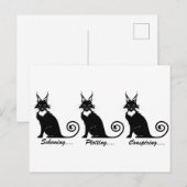 Evil Plotting Cat Trio Postkarte (Vorne/Hinten)