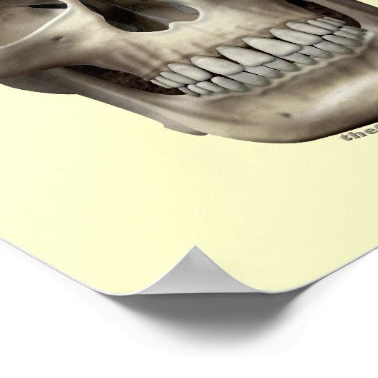 Evil Skull Poster (Ecke)