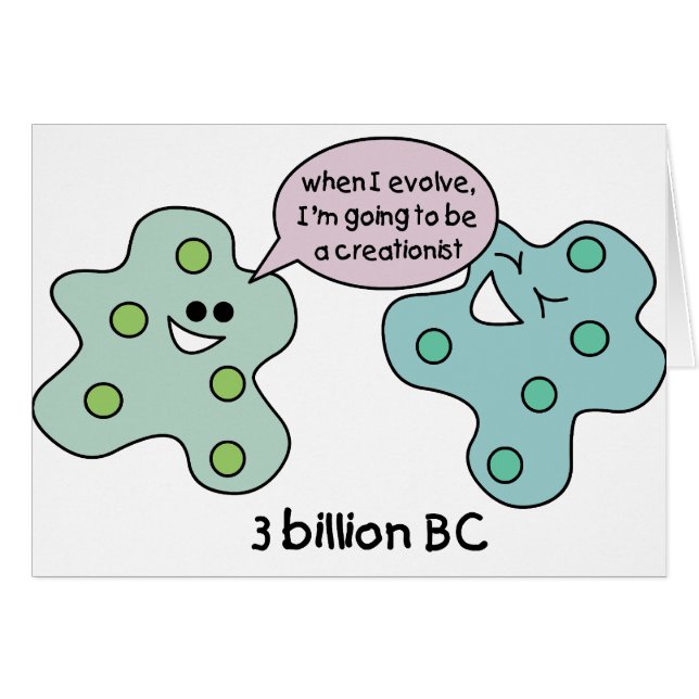 Evolution (Vorderseite (Horizontal))