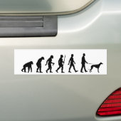 Evolution an den Greyhound-Eigentümer Autoaufkleber (Auf Auto)