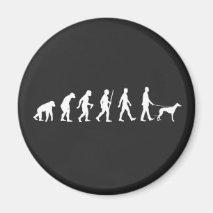 Evolution an Greyhound-Eigentümer Magnet