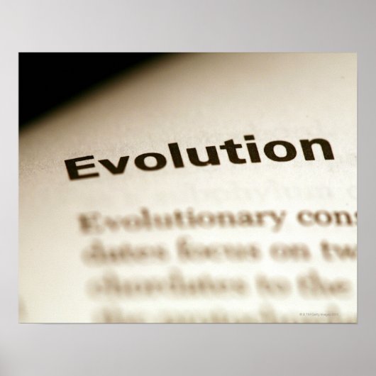 Evolution auf Seite Poster (Vorne)